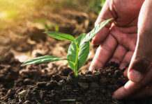 Zakupy z Mastercard w JYSK – więcej drzew dla naszej planety