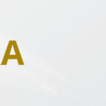 BELKA – OKIEM LIDERA – LIDER CX