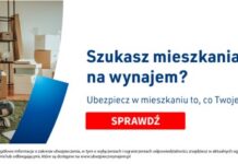 Ubezpieczenia dla wynajmujących – nowy kierunek rozwoju
