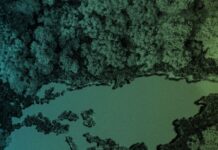 Klimat rosnących strat – ubezpieczyciele istotnym ogniwem w zarządzaniu ryzykiem klimatycznym