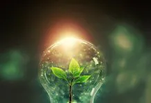 Bank Pekao przyjął Plan Dekarbonizacji Grupy Kapitałowej w odpowiedzi na wyzwania klimatyczne i regulacyjne