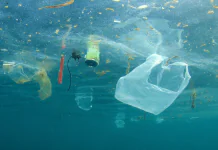 Wyprawa Plastic Odyssey dobiegła końca, ale walka o mniej plastiku trwa nadal